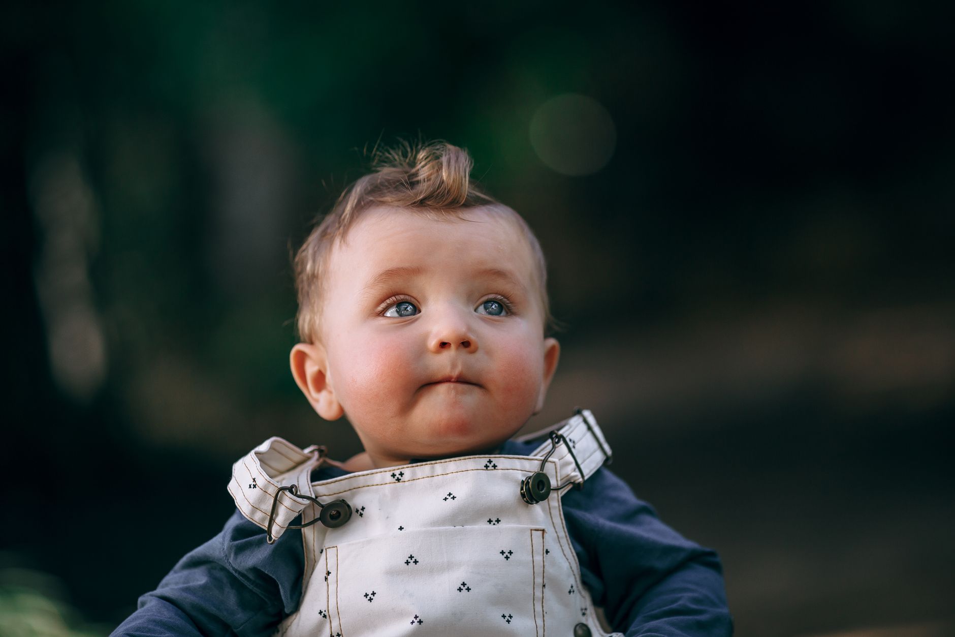 bébé prénom Lucas